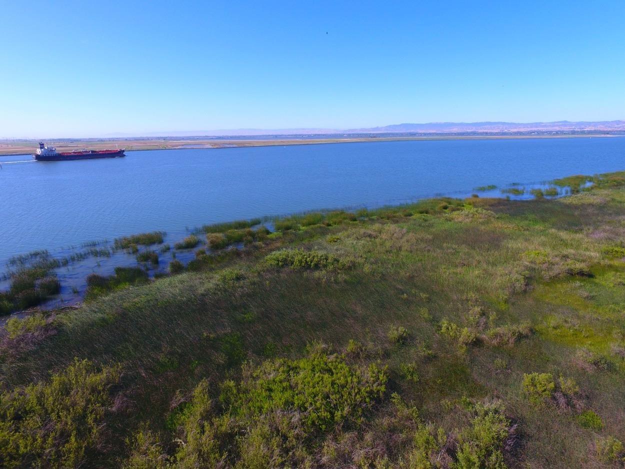 Sherman Island East Levee Rd, Rio Vista, California image 13