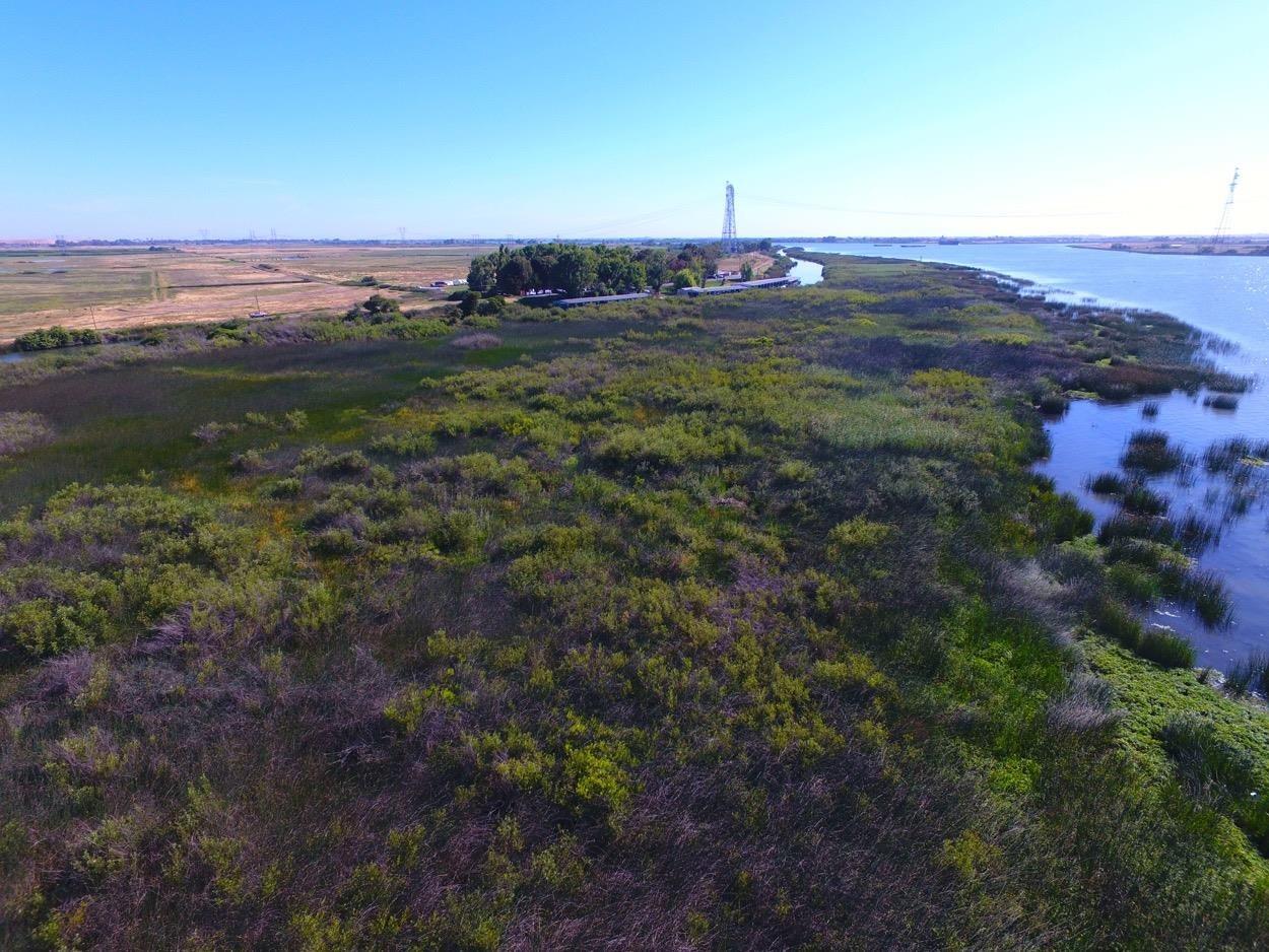 Sherman Island East Levee Rd, Rio Vista, California image 6