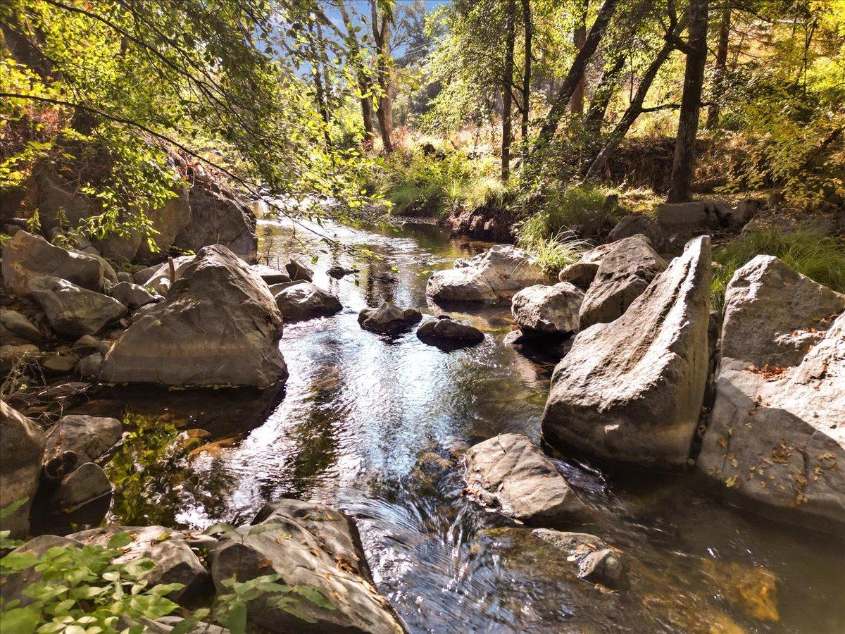 Country Lane, Penn Valley, California image 12