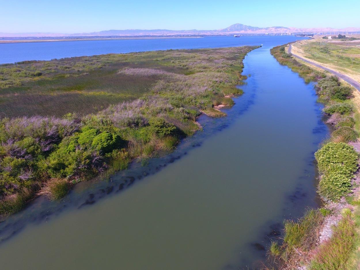 Sherman Island East Levee Rd, Rio Vista, California image 9