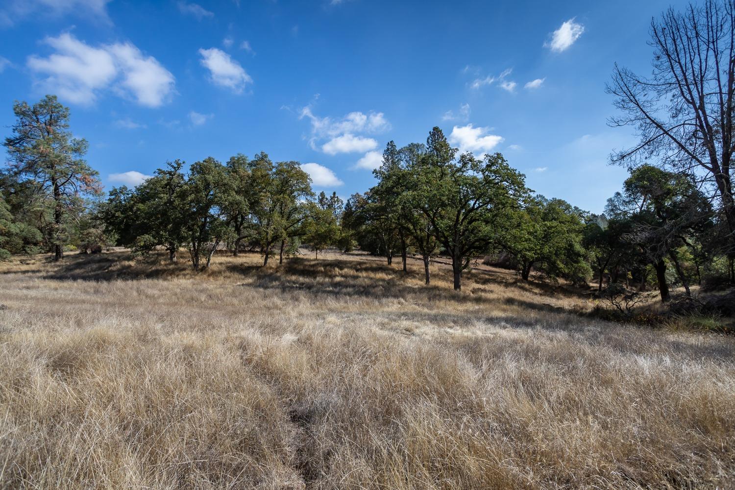 Mount Murphy Road, Garden Valley, California image 31