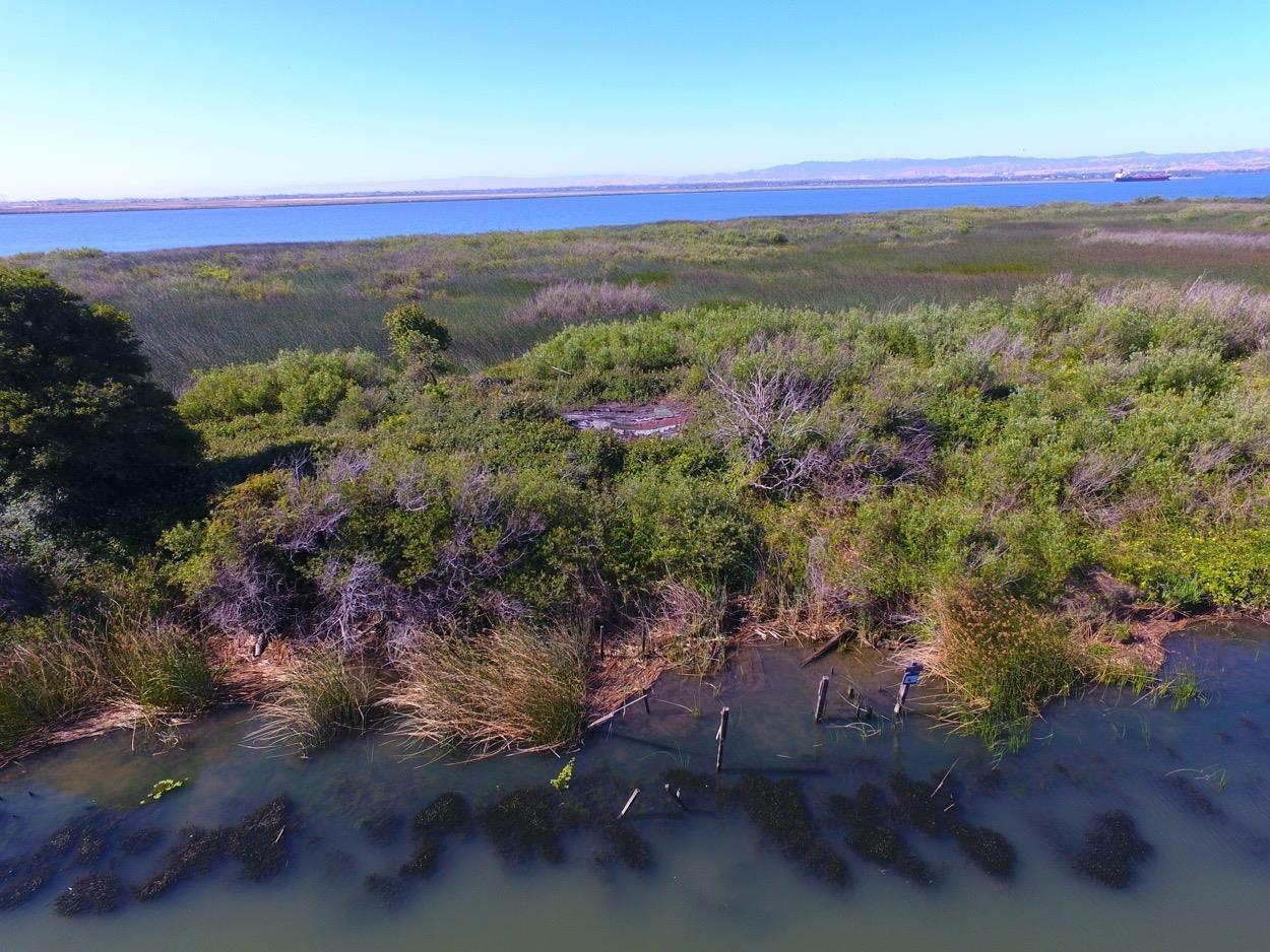 Sherman Island East Levee Rd, Rio Vista, California image 8