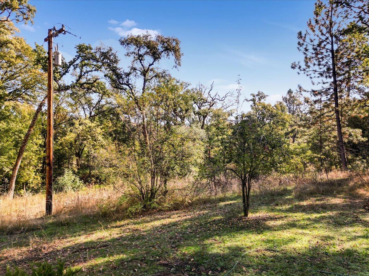 Country Lane, Penn Valley, California image 14