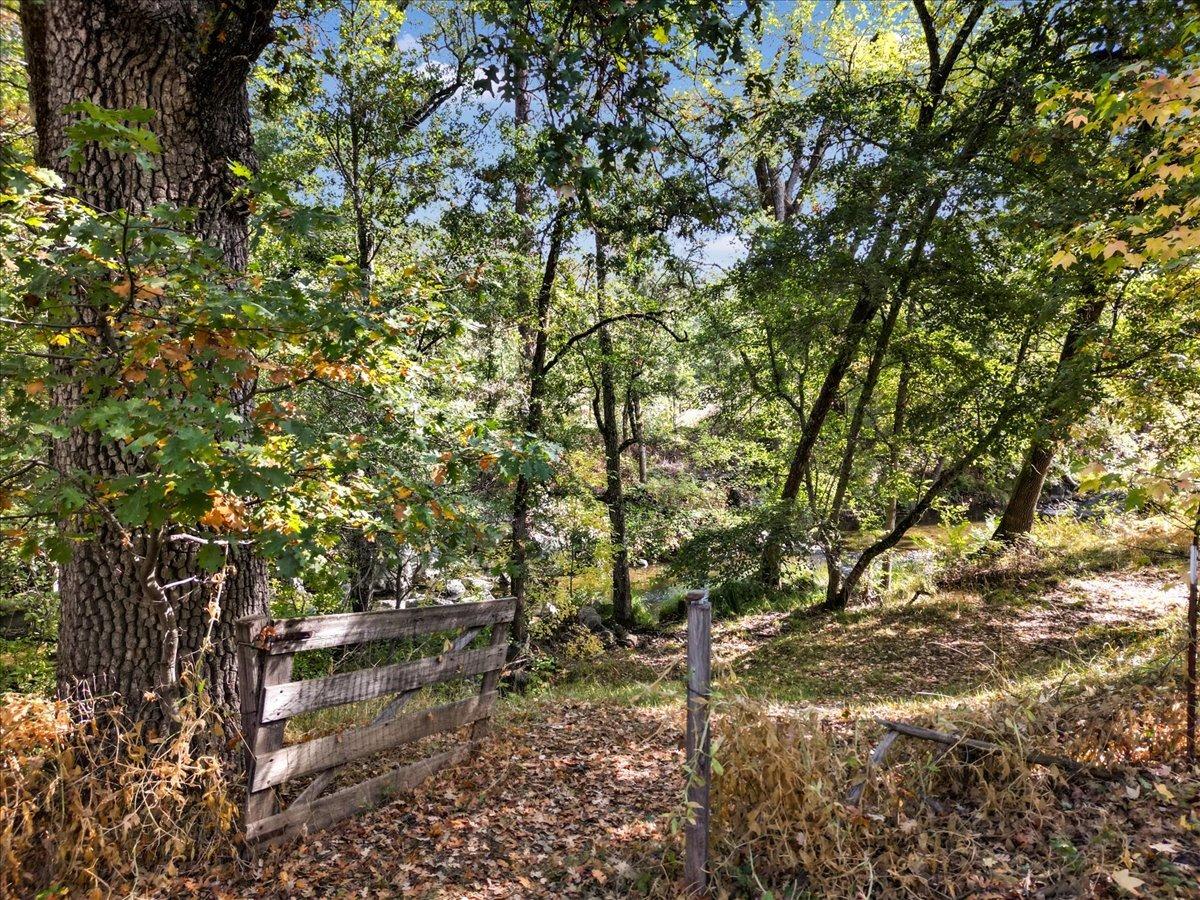 Country Lane, Penn Valley, California image 18