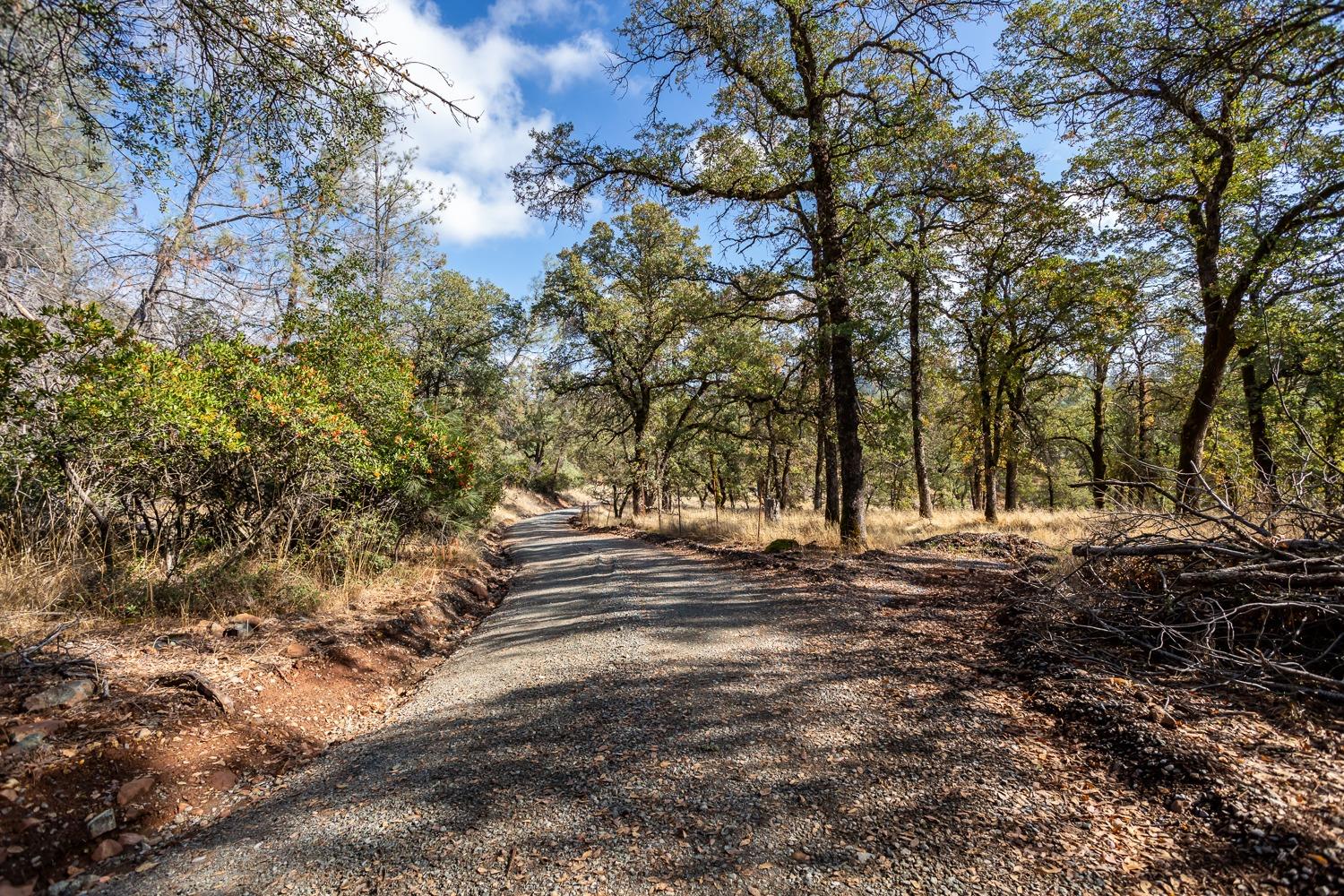 Mount Murphy Road, Garden Valley, California image 29