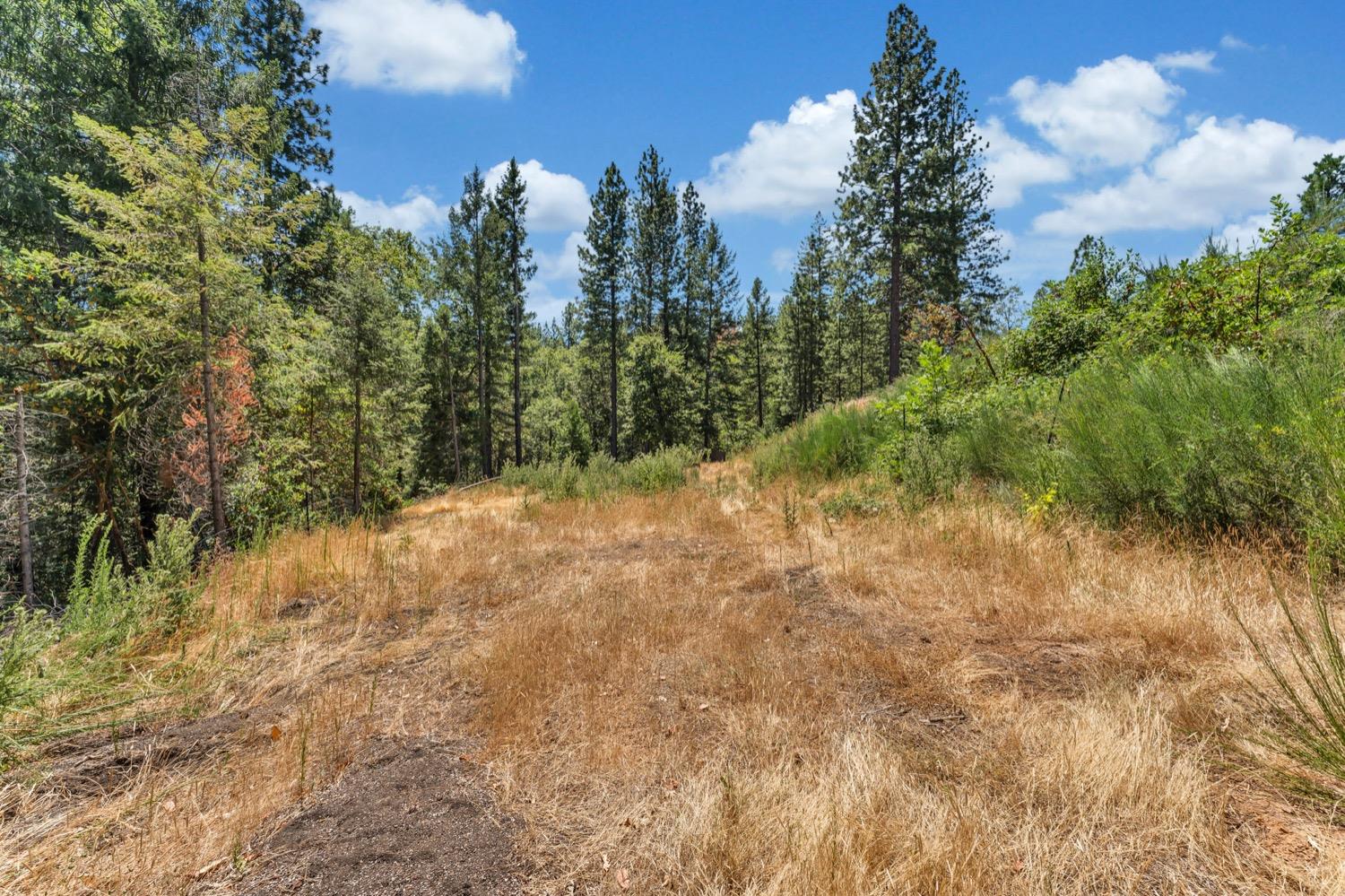 Fox Run Rd Road, Georgetown, California image 9