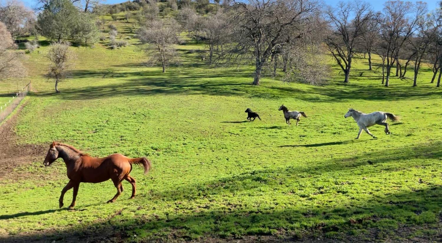 Carmel Road, Burson, California image 9