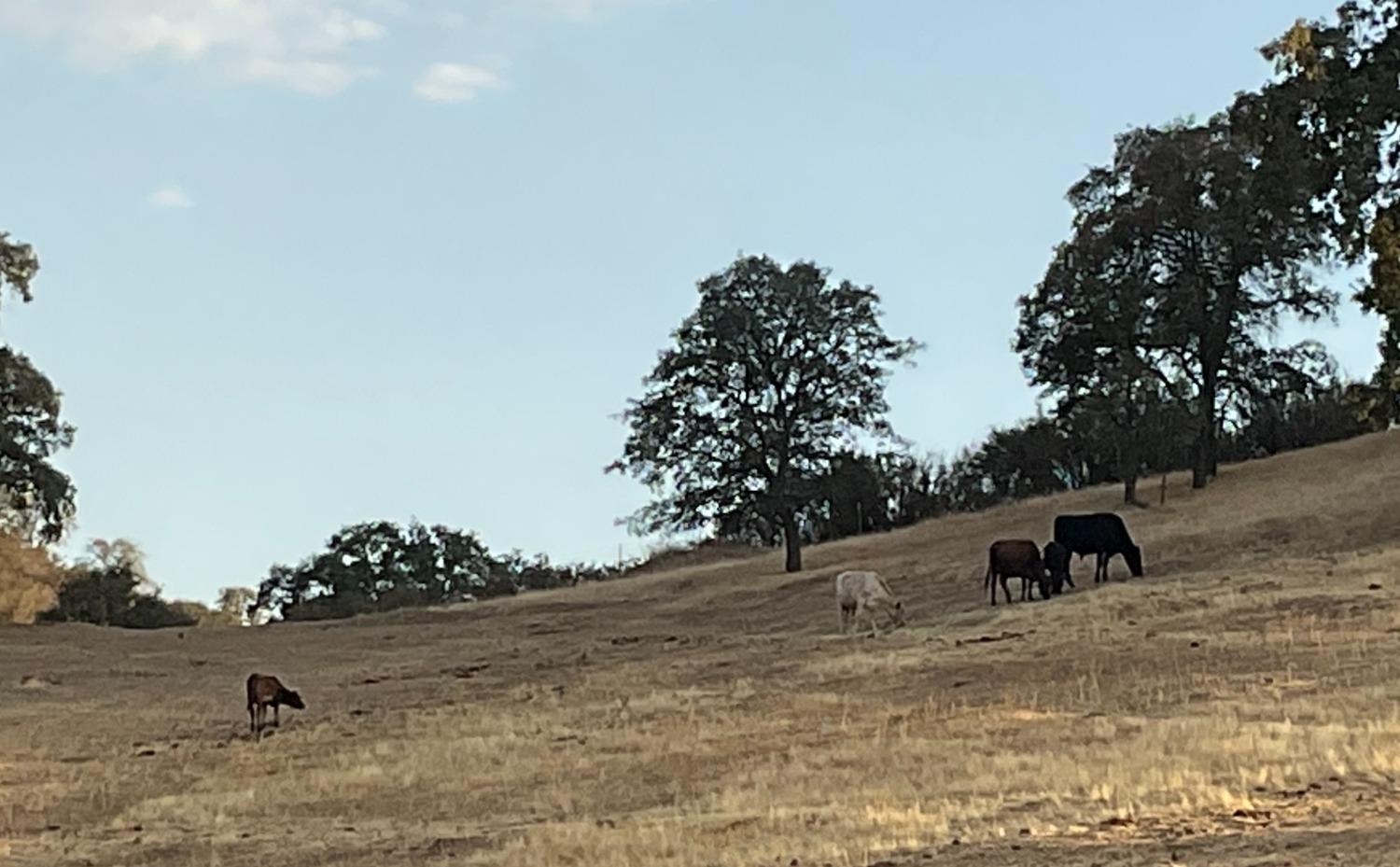 Carmel Road, Burson, California image 17