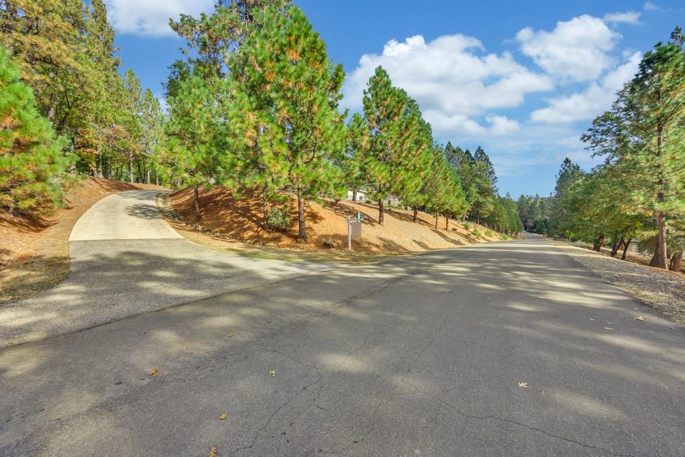 S Ponderosa Way, Rough and Ready, California image 6