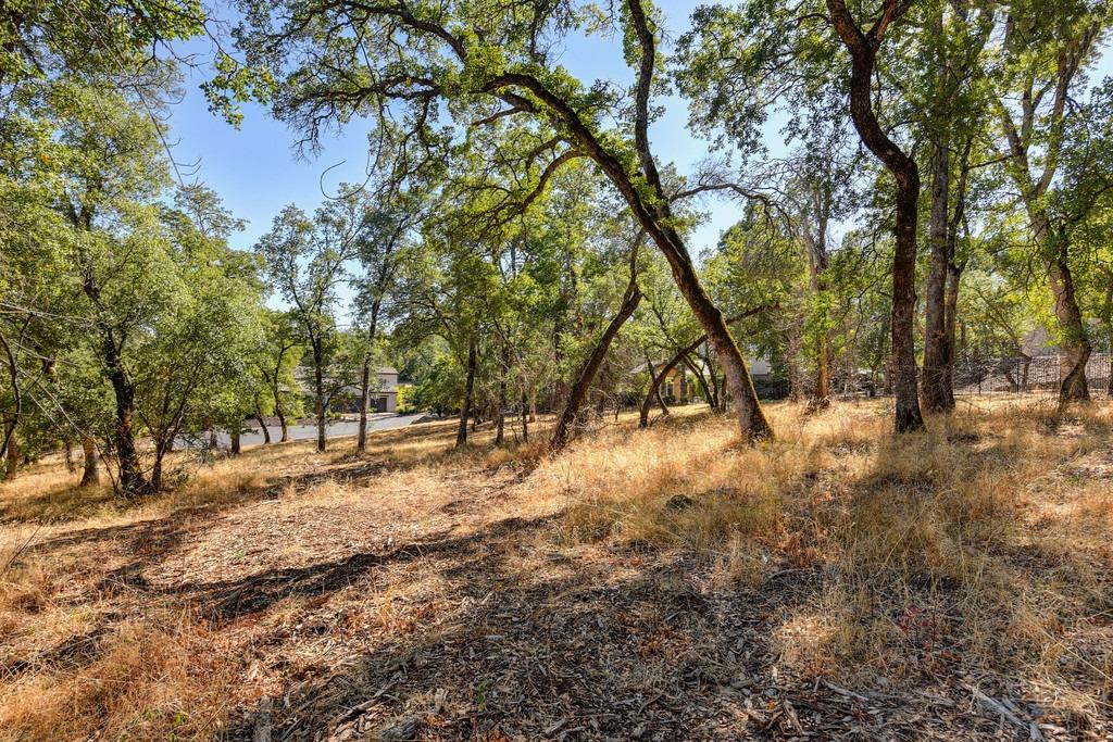 Detail Gallery Image 3 of 16 For 511 Renaissance Pl, El Dorado Hills,  CA 95762 - – Beds | – Baths