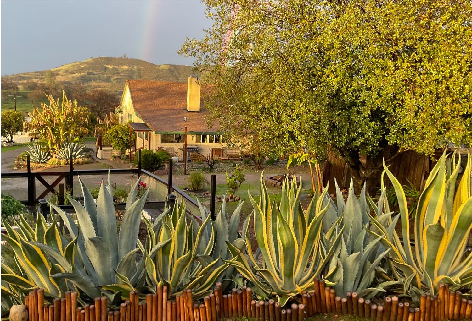 Carmel Road, Burson, California image 21