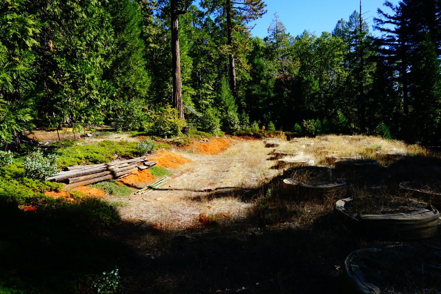 Lightning Tree Road, Nevada City, California image 7