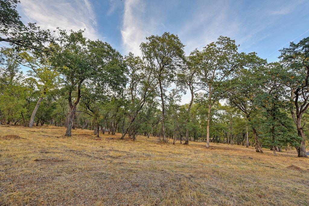 Detail Gallery Image 4 of 16 For 511 Renaissance Pl, El Dorado Hills,  CA 95762 - – Beds | – Baths