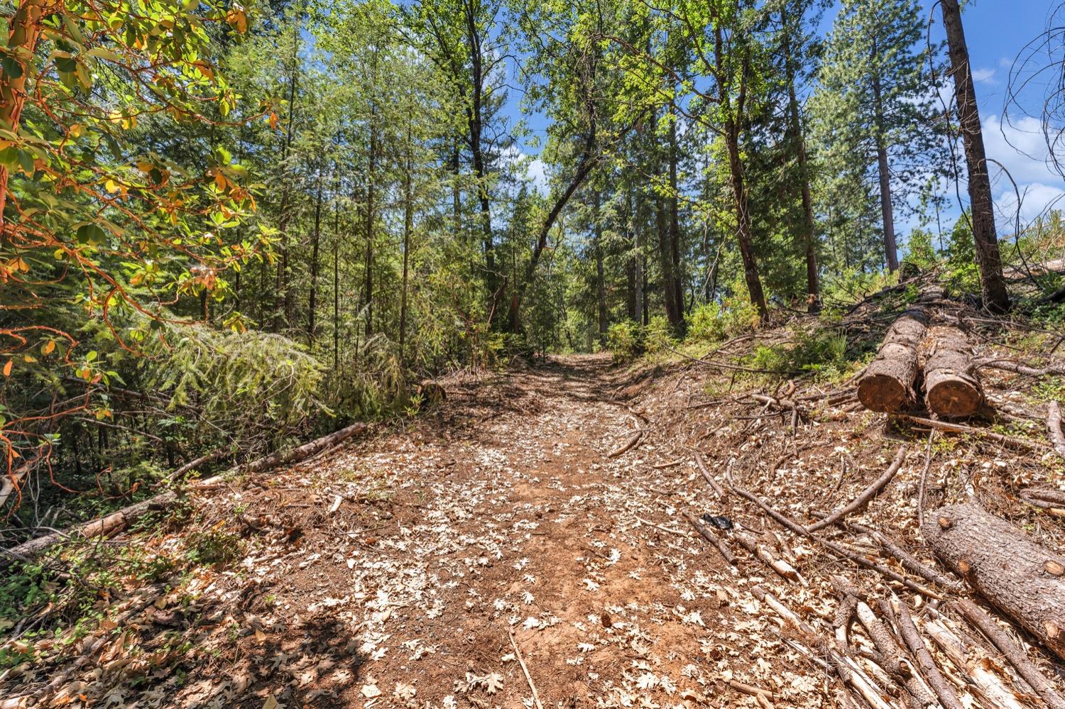 Fox Run Rd Road, Georgetown, California image 13