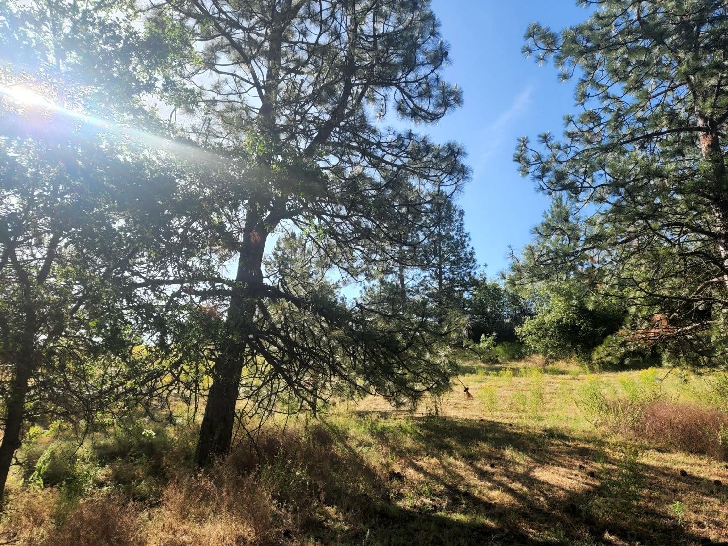 Perry Creek Road #B, Somerset, California image 16