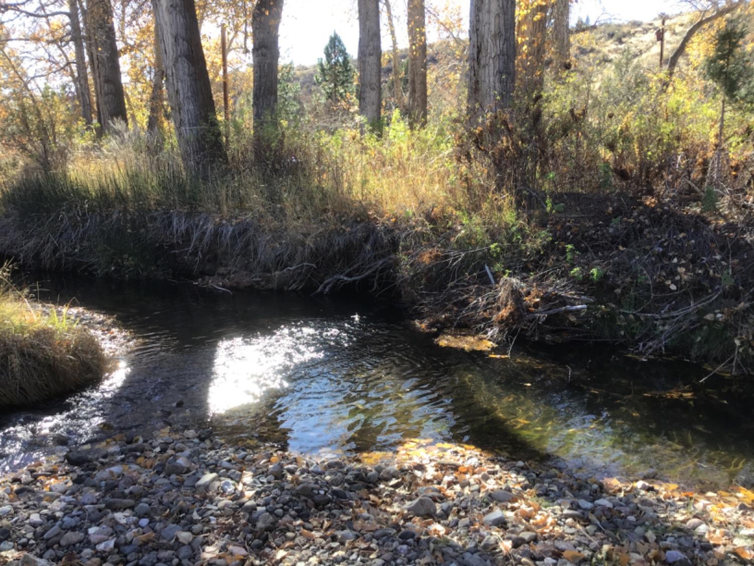 Co Rd165, Fort Bidwell, California image 31