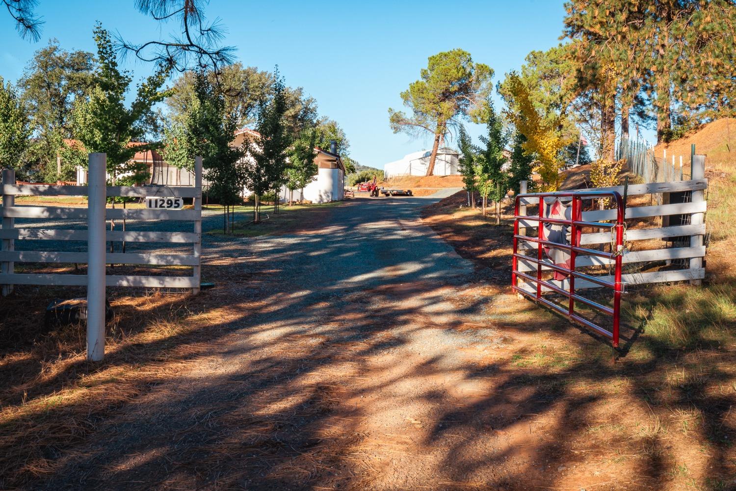 Upper Previtali Road, Jackson, California image 6