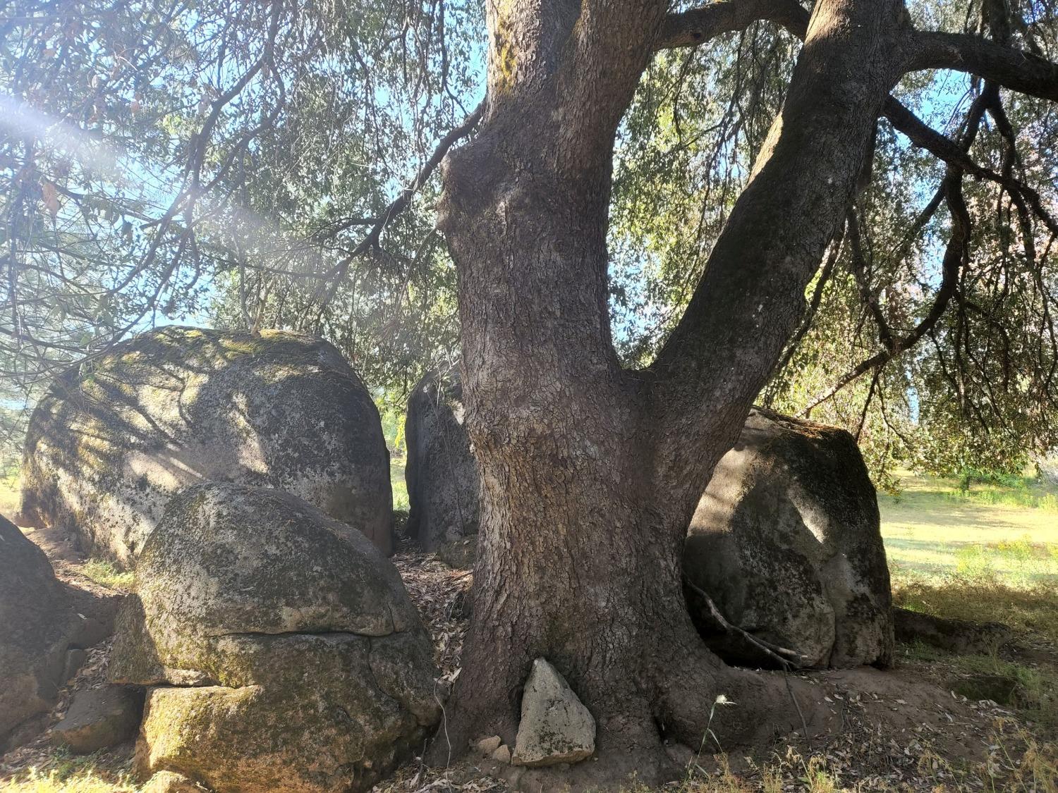 Perry Creek Road #B, Somerset, California image 18