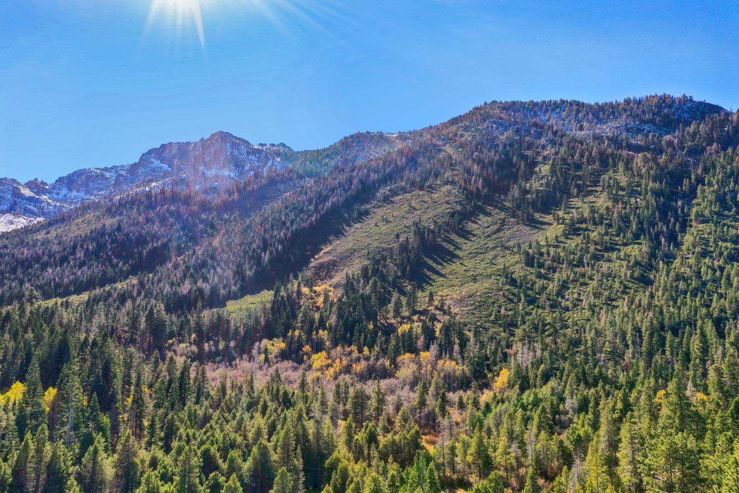 Mattole Road, South Lake Tahoe, California image 6