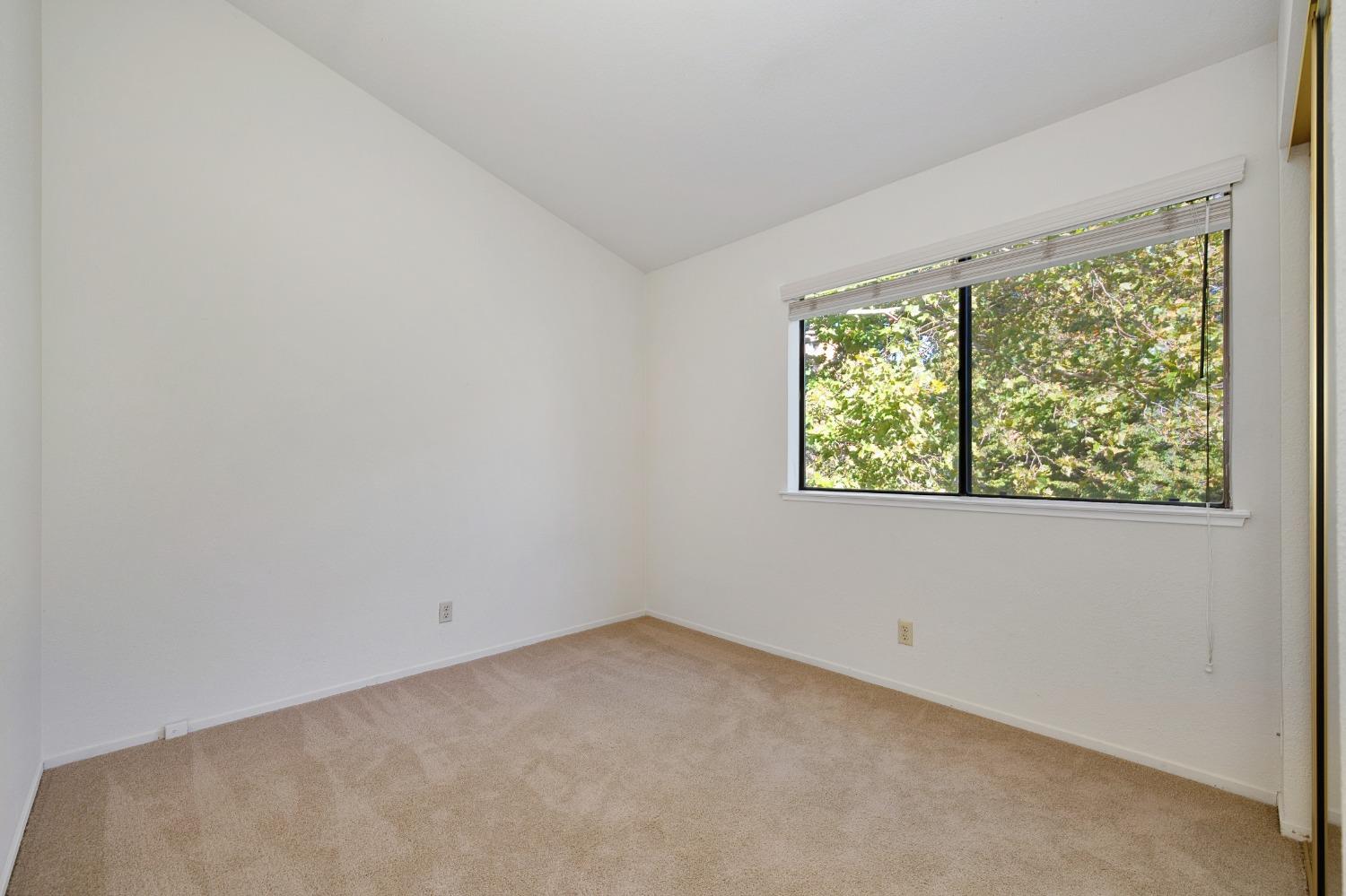 Photo #23: 223092101 Listing: Photo #23