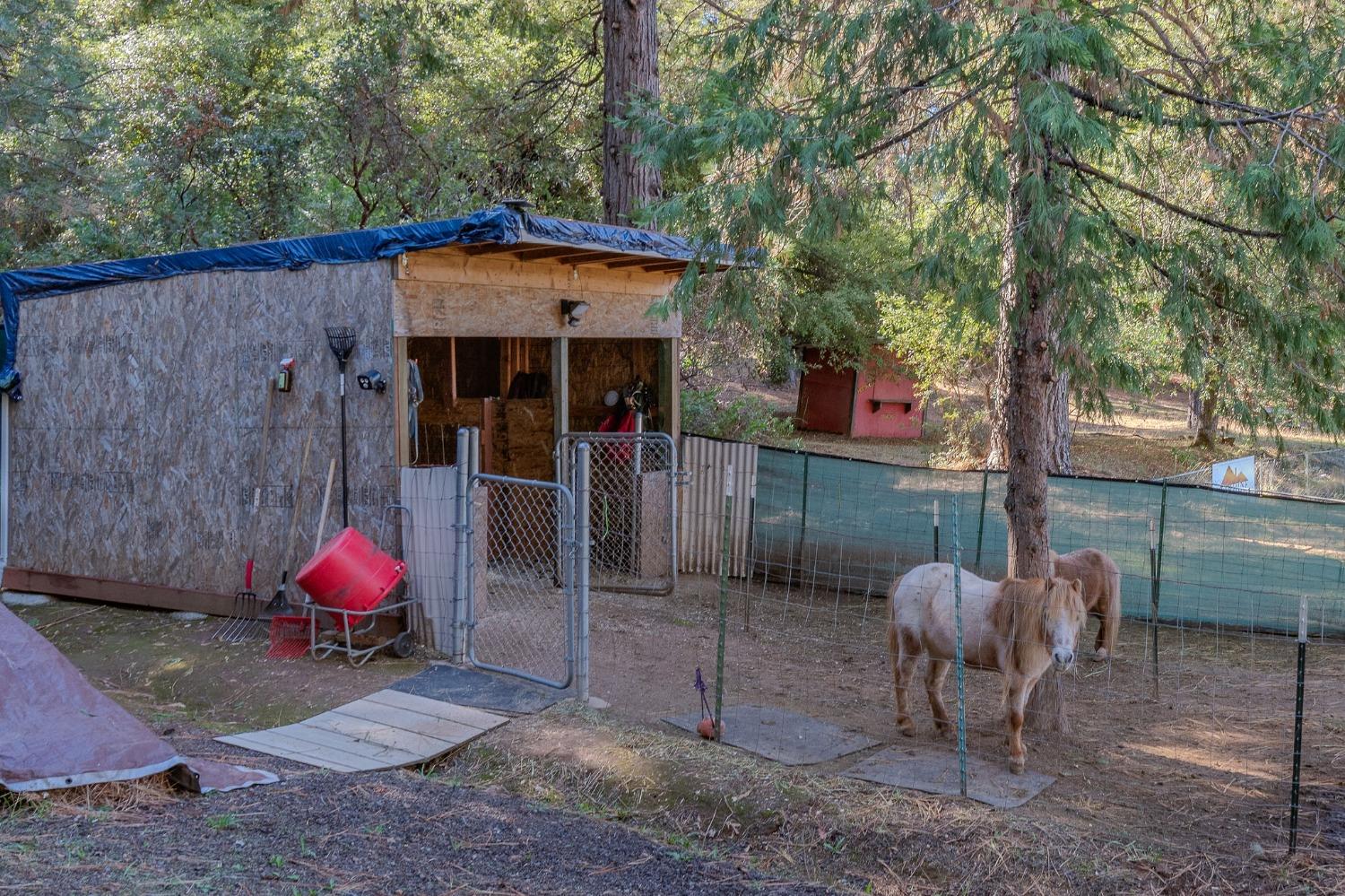 Ridge Road, Pine Grove, California image 50