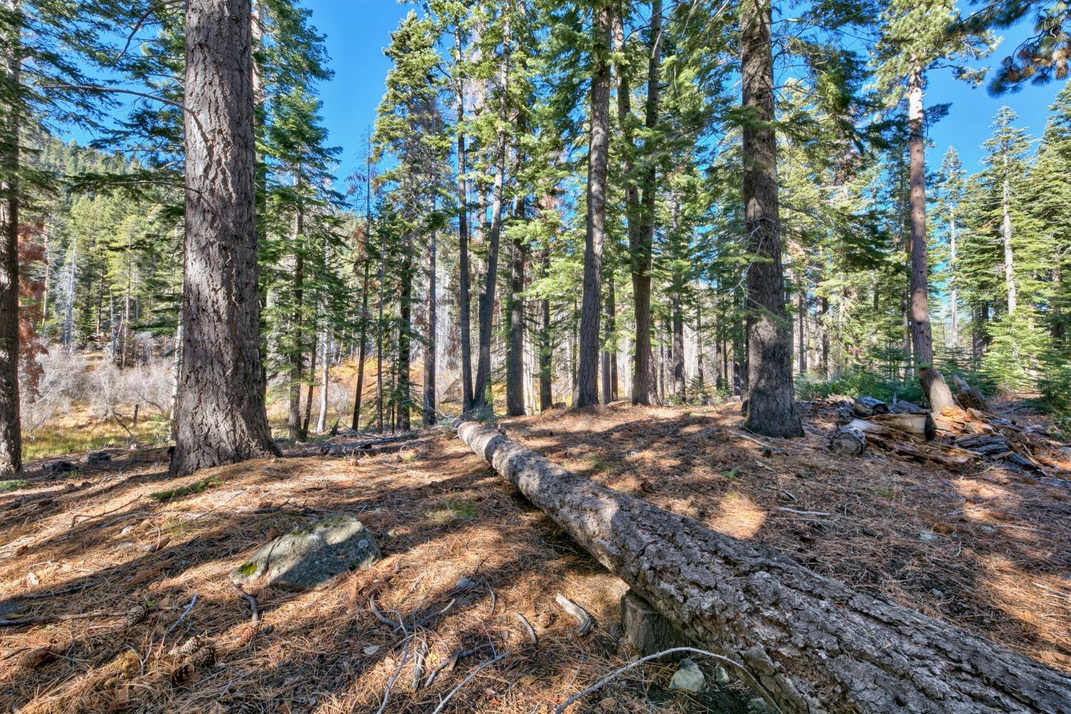 Mattole Road, South Lake Tahoe, California image 14