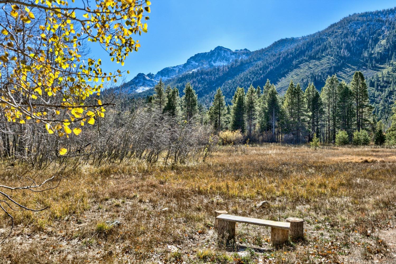 Mattole Road, South Lake Tahoe, California image 4