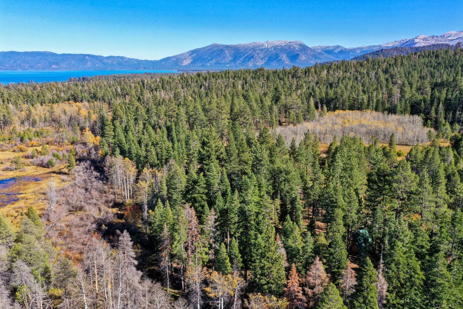 Mattole Road, South Lake Tahoe, California image 31