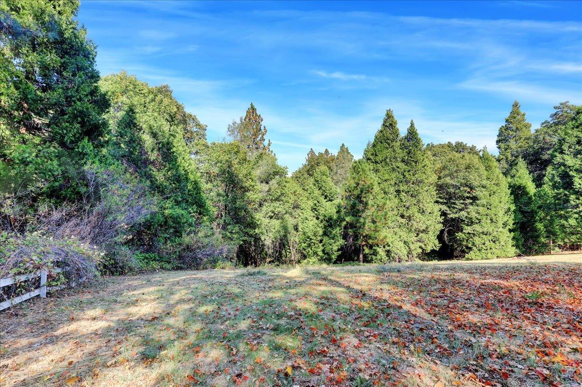 Rough And Ready Highway, Grass Valley, California image 16