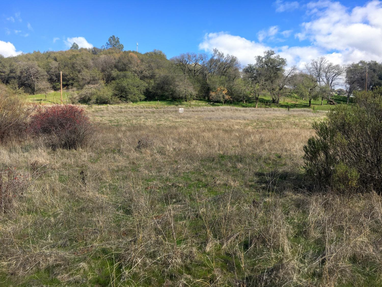 Big Oak Lane, Browns Valley, California image 7