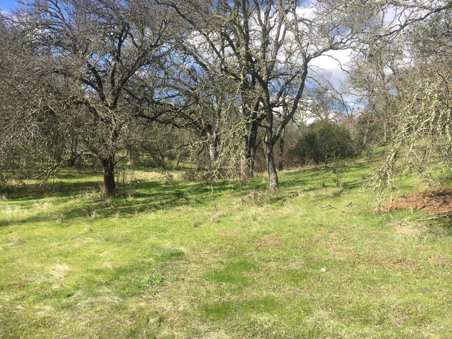 Big Oak Lane, Browns Valley, California image 30