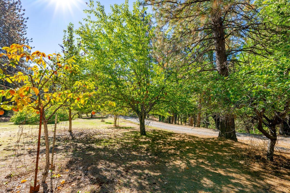 Edward Beale Road, Georgetown, California image 2