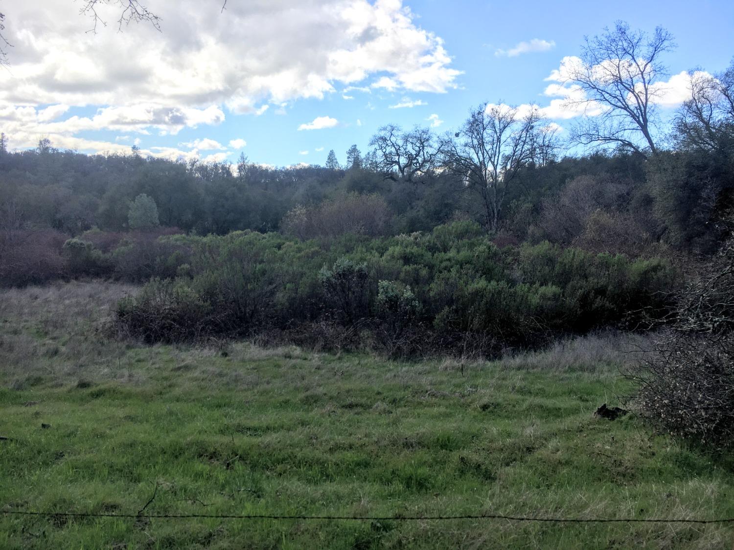 Big Oak Lane, Browns Valley, California image 9