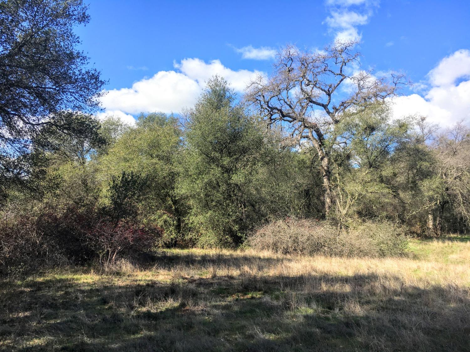 Big Oak Lane, Browns Valley, California image 17