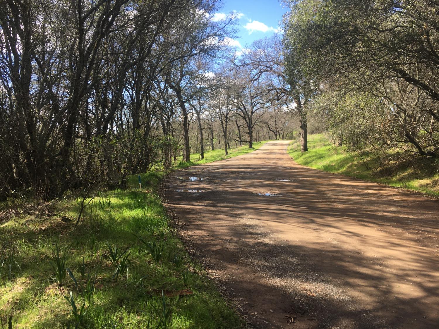 Big Oak Lane, Browns Valley, California image 11