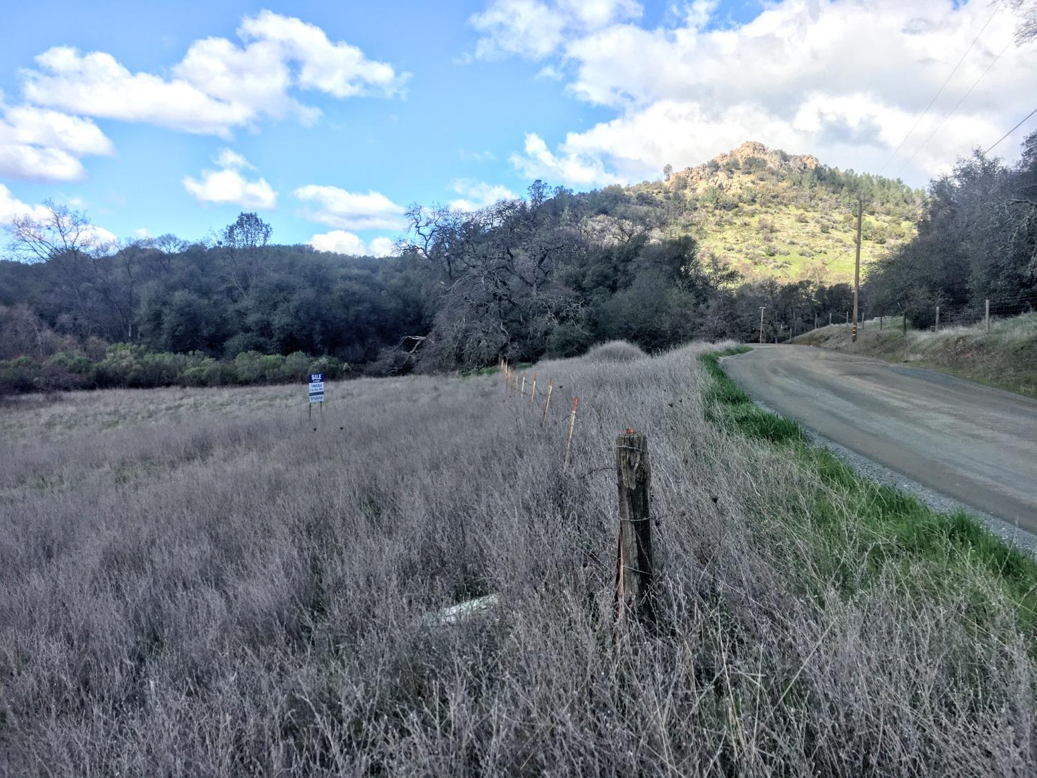 Big Oak Lane, Browns Valley, California image 8