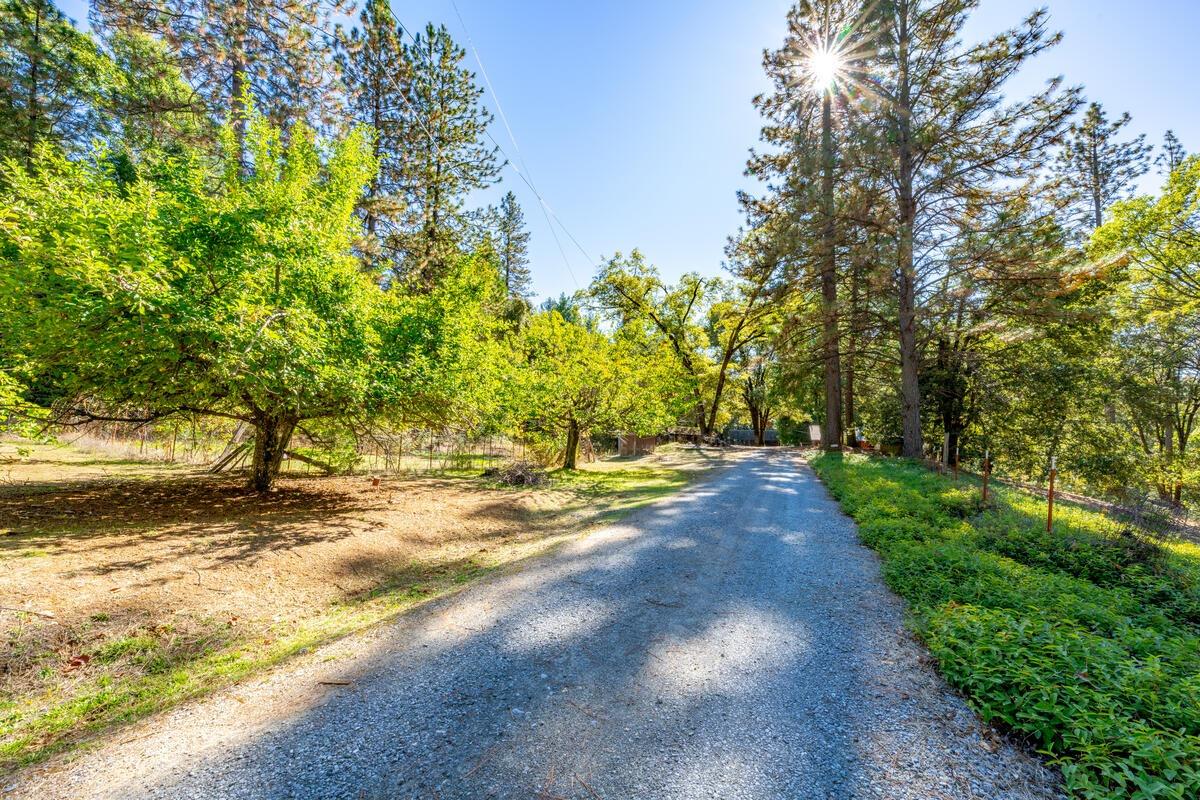 Edward Beale Road, Georgetown, California image 31