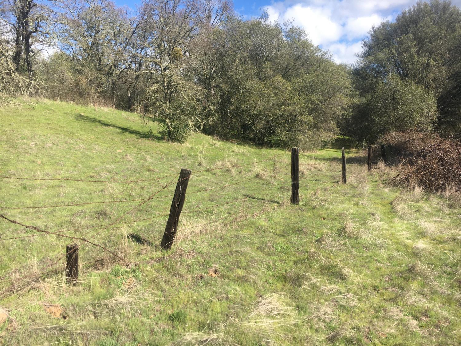 Big Oak Lane, Browns Valley, California image 3