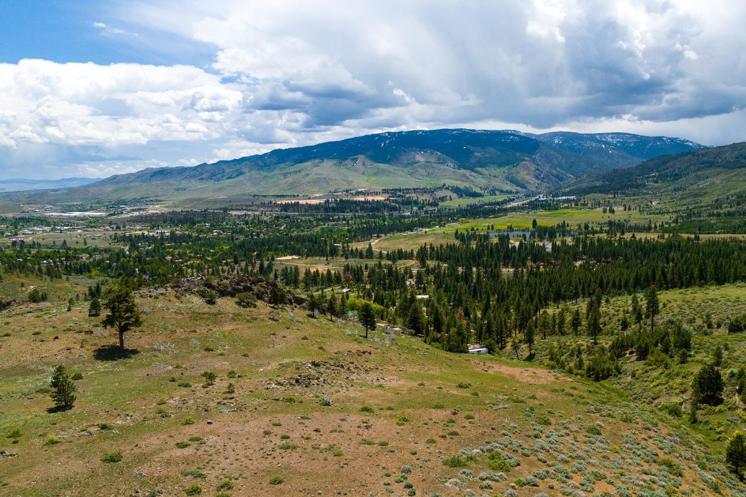 Pine Cone Ridge, Sierraville, California image 6