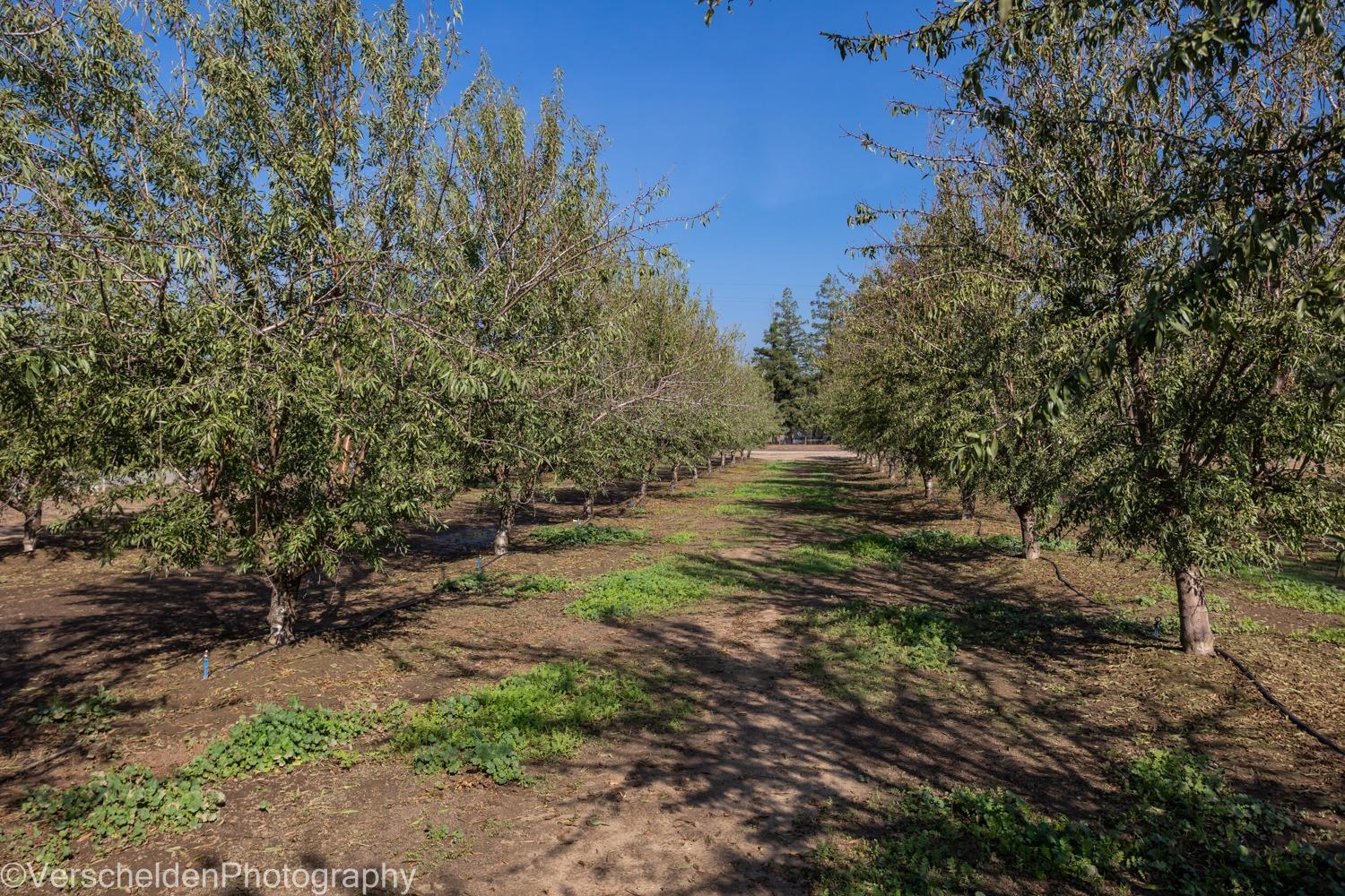 Dallas Road, Hickman, California image 6