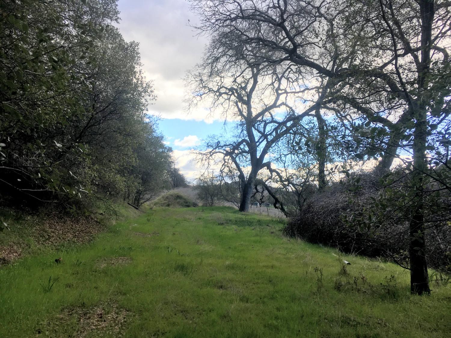 Big Oak Lane, Browns Valley, California image 10