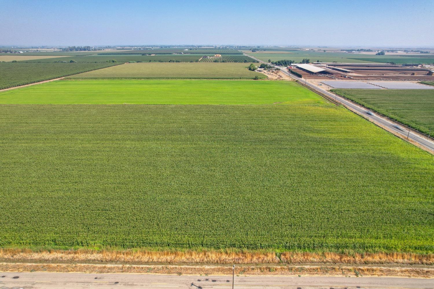 Pfitzer Road, Gustine, California image 11