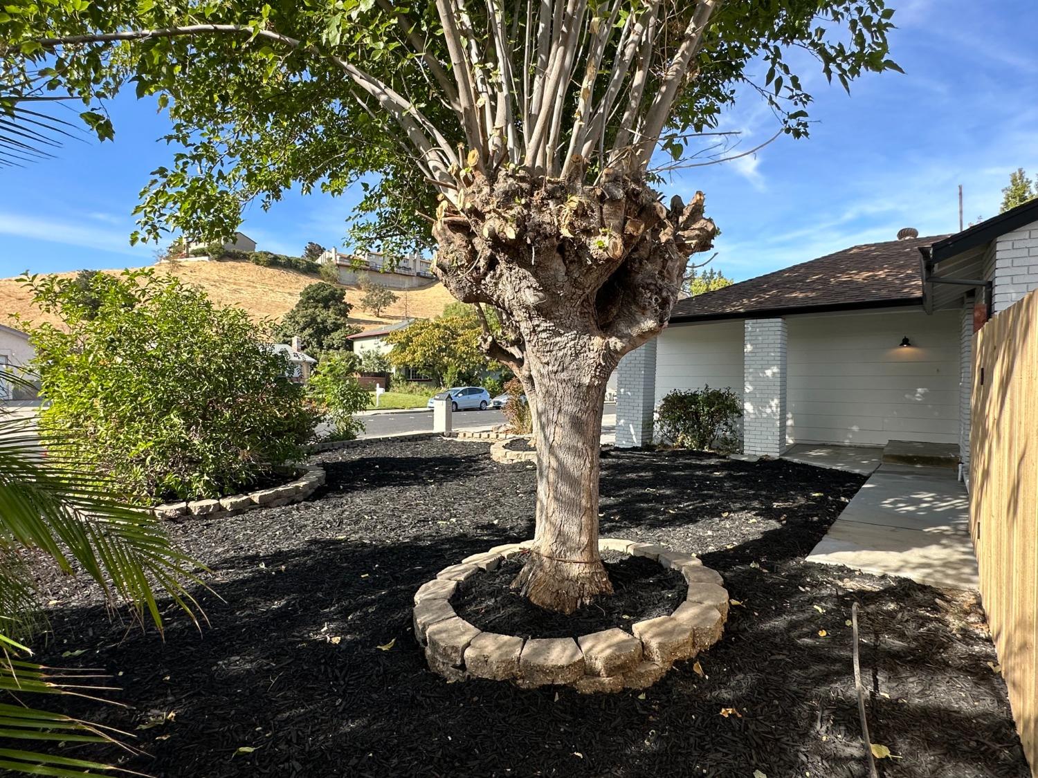 Blythe Drive, Antioch, California image 38