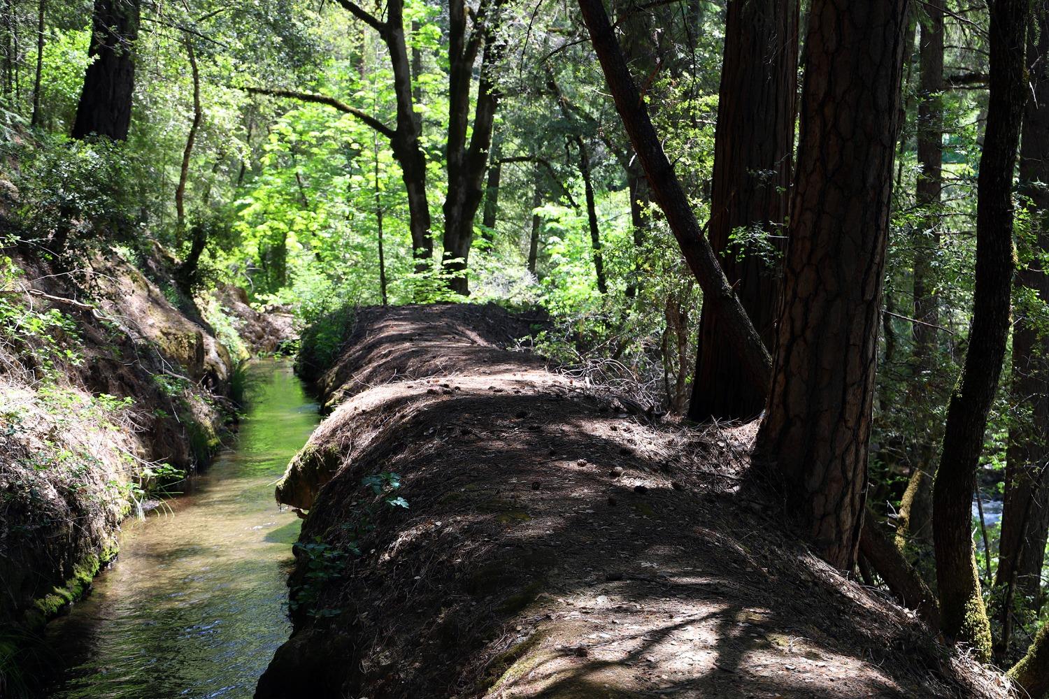 Happy Valley Road, Somerset, California image 17