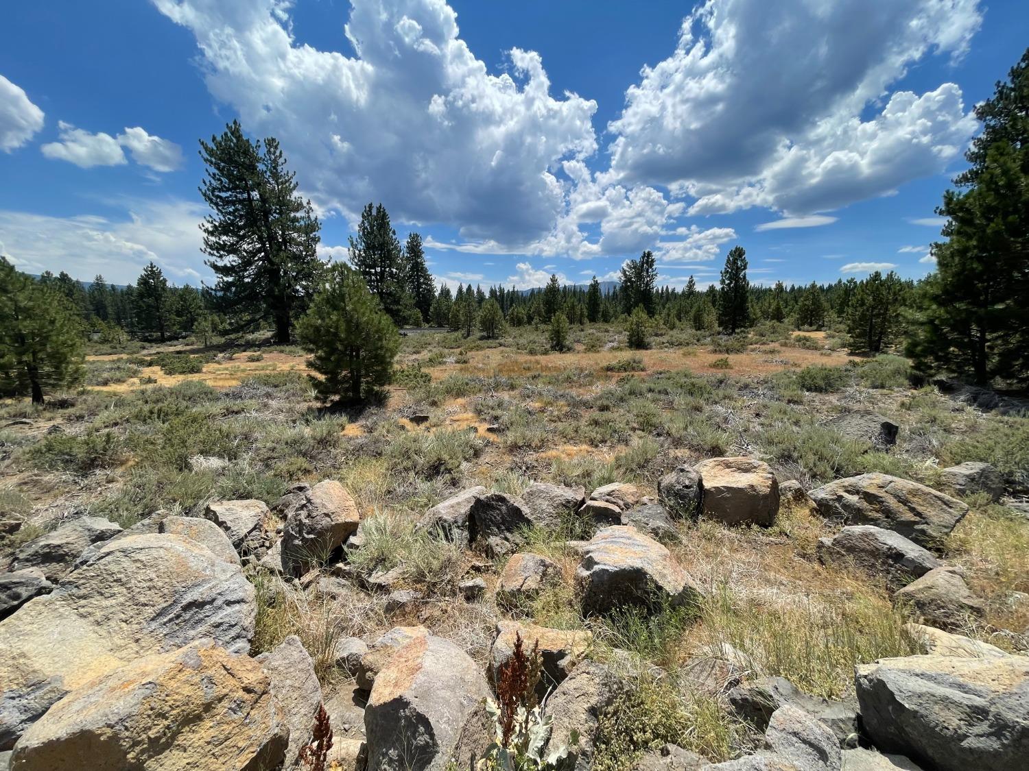 Glenshire Drive, Truckee, California image 6