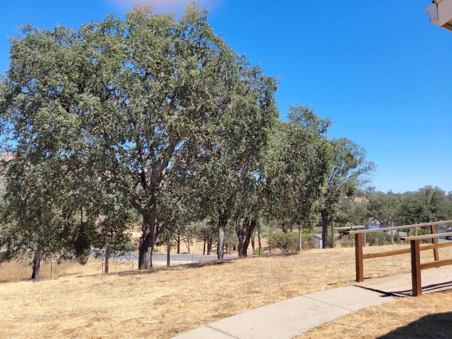 Chief Road, Copperopolis, California image 8