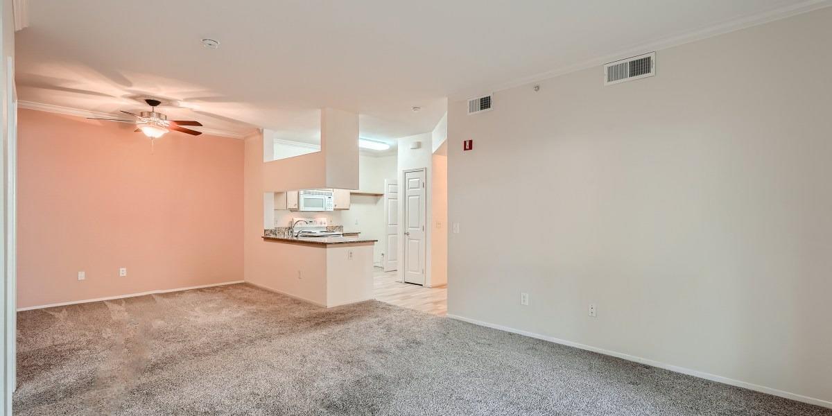 Photo #9: 223106207 Listing 