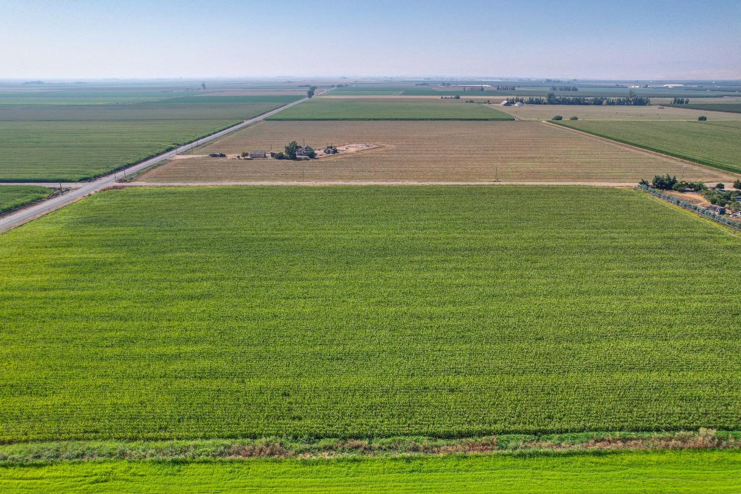 Pfitzer Road, Gustine, California image 7