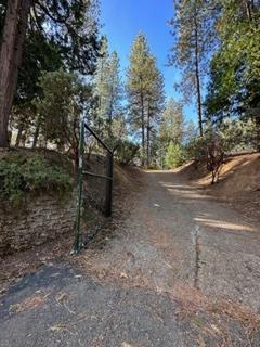 Woodcrest Drive, Pioneer, California image 18