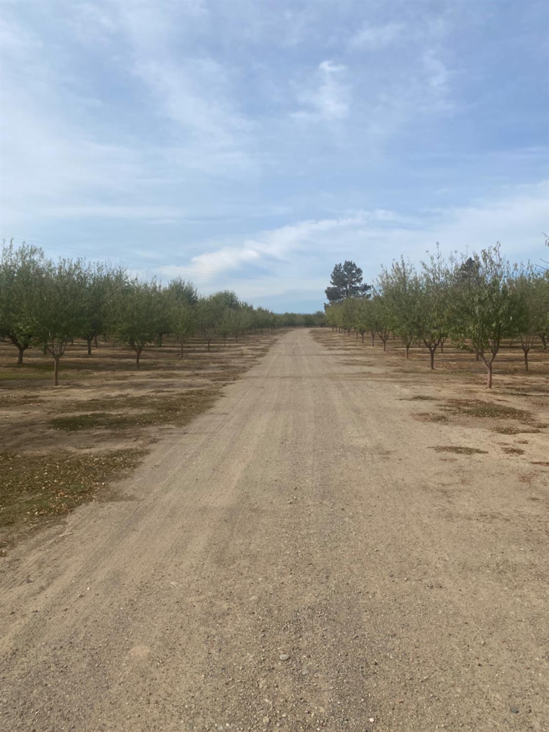 County Road 88, Dunnigan, California image 3